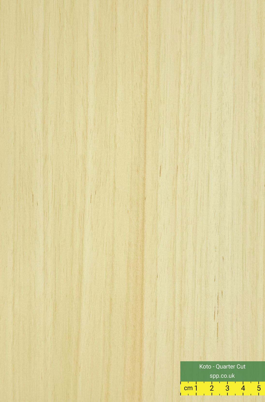 Koto Veneered Plywood