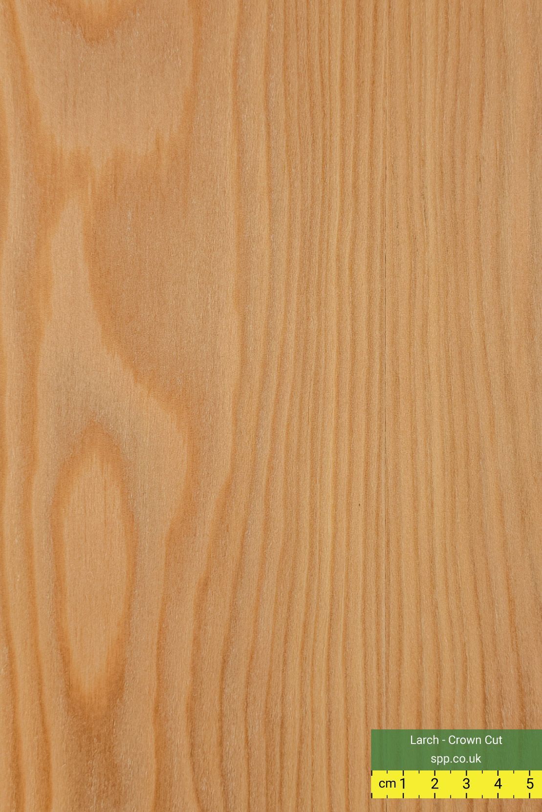 Crown Cut Larch Veneered MDF