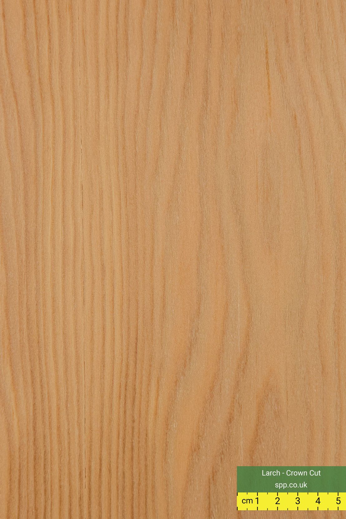 Crown Cut Larch Veneer