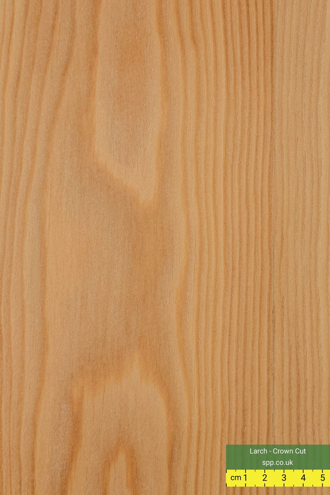 Crown Cut Larch Veneered Ply
