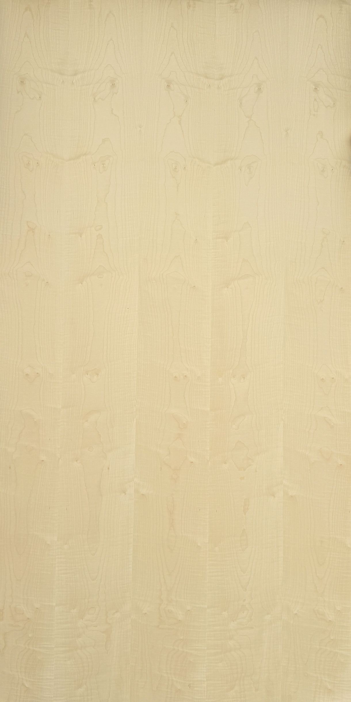 Crown Cut Maple Veneered Plywood