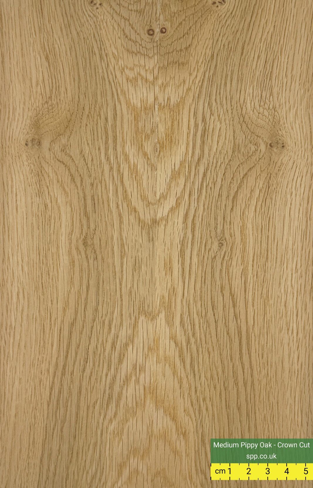 Pippy Oak Veneered Plywood