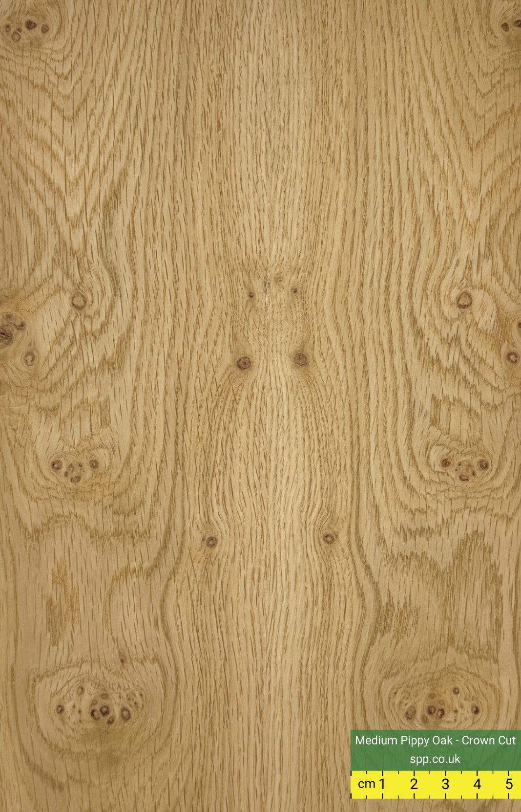 Pippy Oak Veneered Plywood