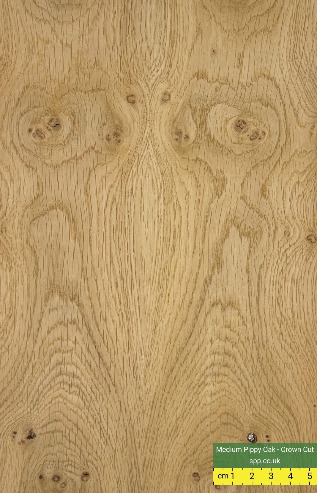Pippy Oak Veneered Plywood