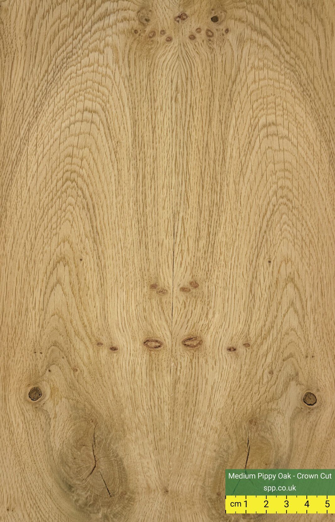 Pippy Oak Veneered Plywood