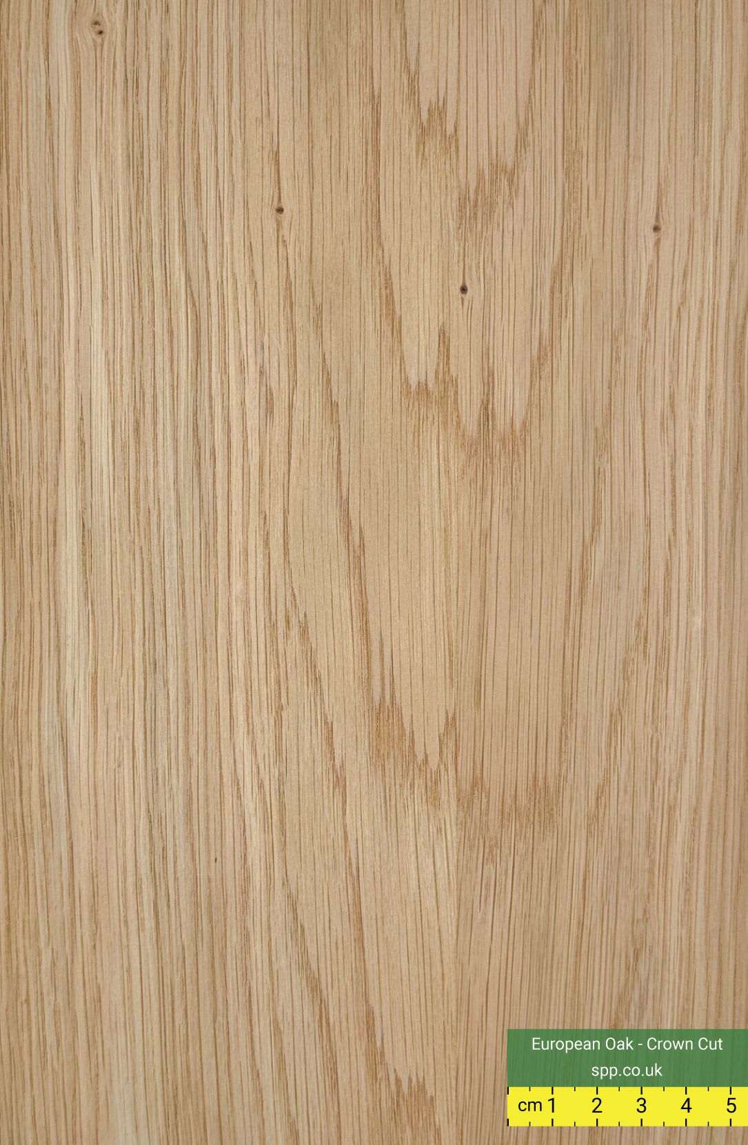 European Oak Crown Cut Veneer Plywood