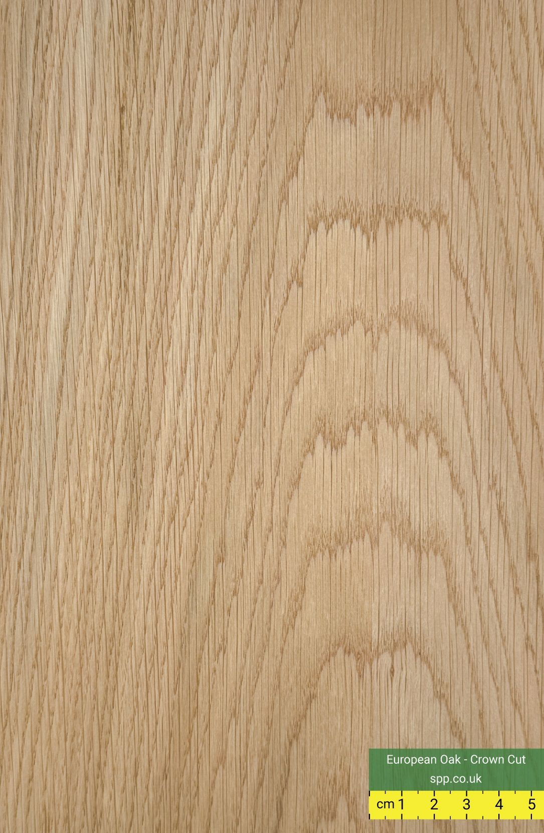 European Oak Crown Cut Veneer Plywood
