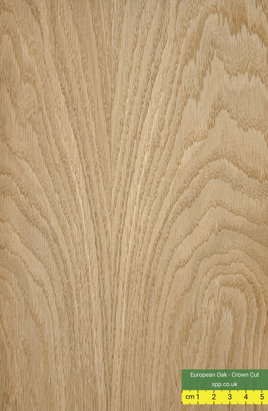 European Oak Crown Cut Veneer Plywood