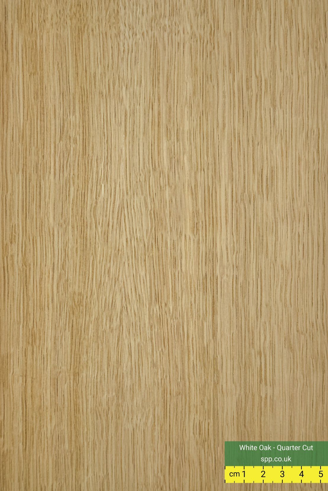 White Oak Veneered Plywood