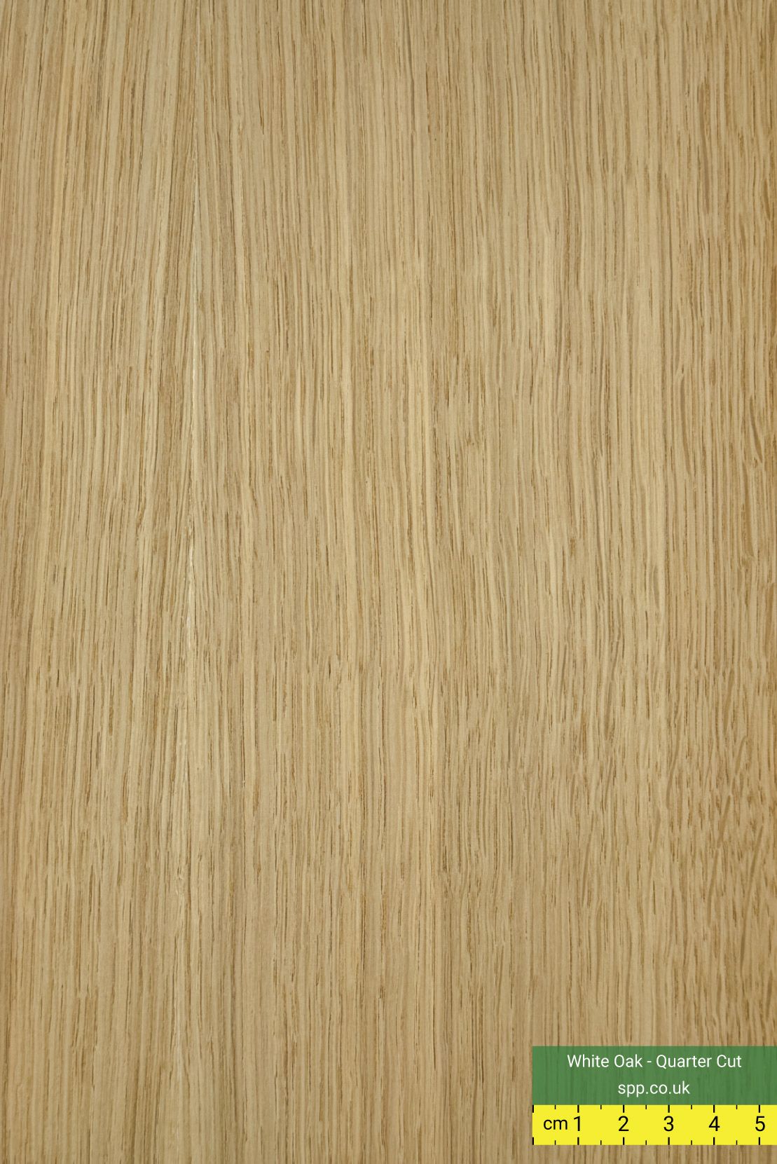 White Oak Quarter Cut Veneered Plywood