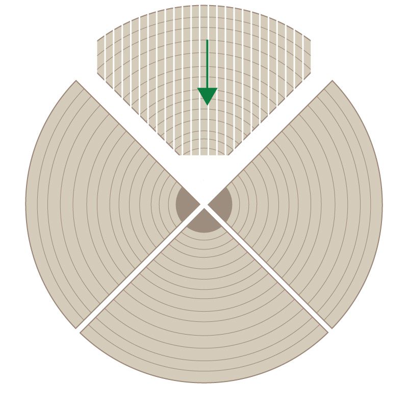 SPP Veneered Plywood - Quarter Cut Log Veneer Diagram