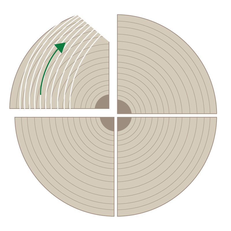 SPP Veneered Plywood - Rift Cut Log Veneer Diagram