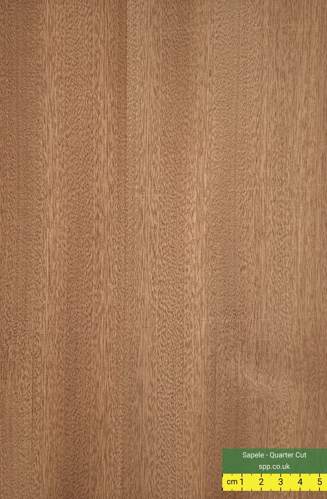 Koto Veneered Plywood