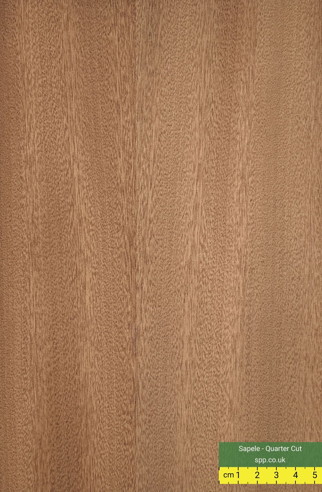 Sapele Quarter Cut Veneered Plywood