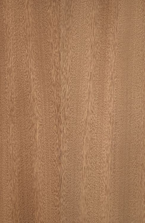 Sapele Veneered Plywood