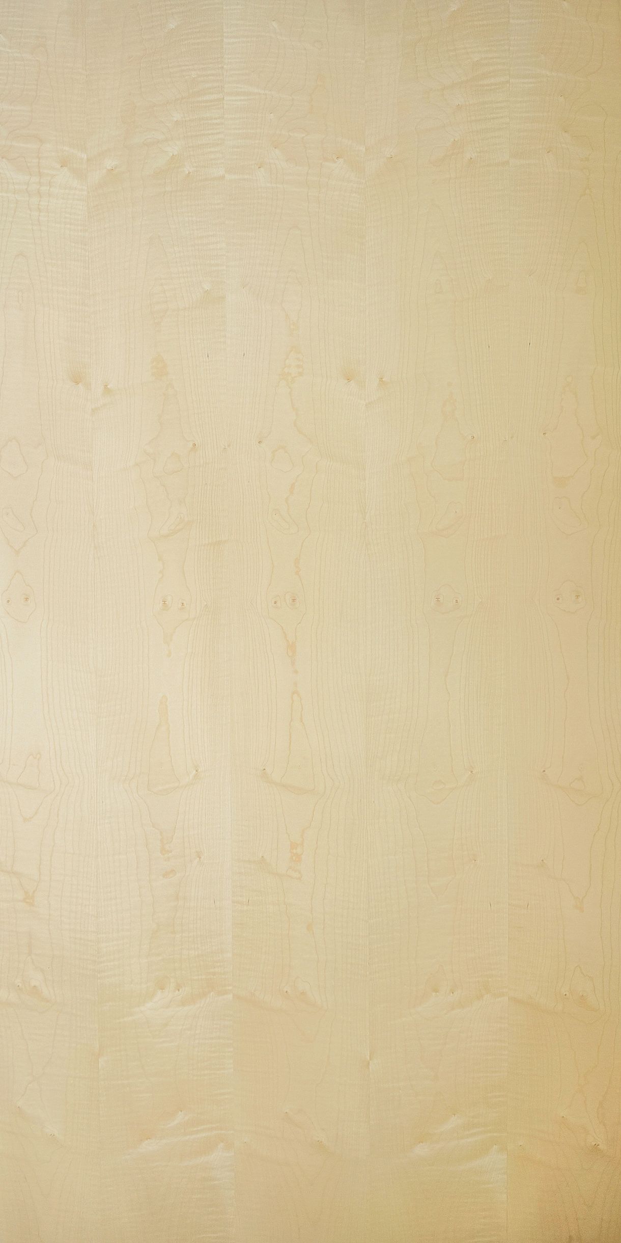 Sycamore Crown Cut Veneered Plywood