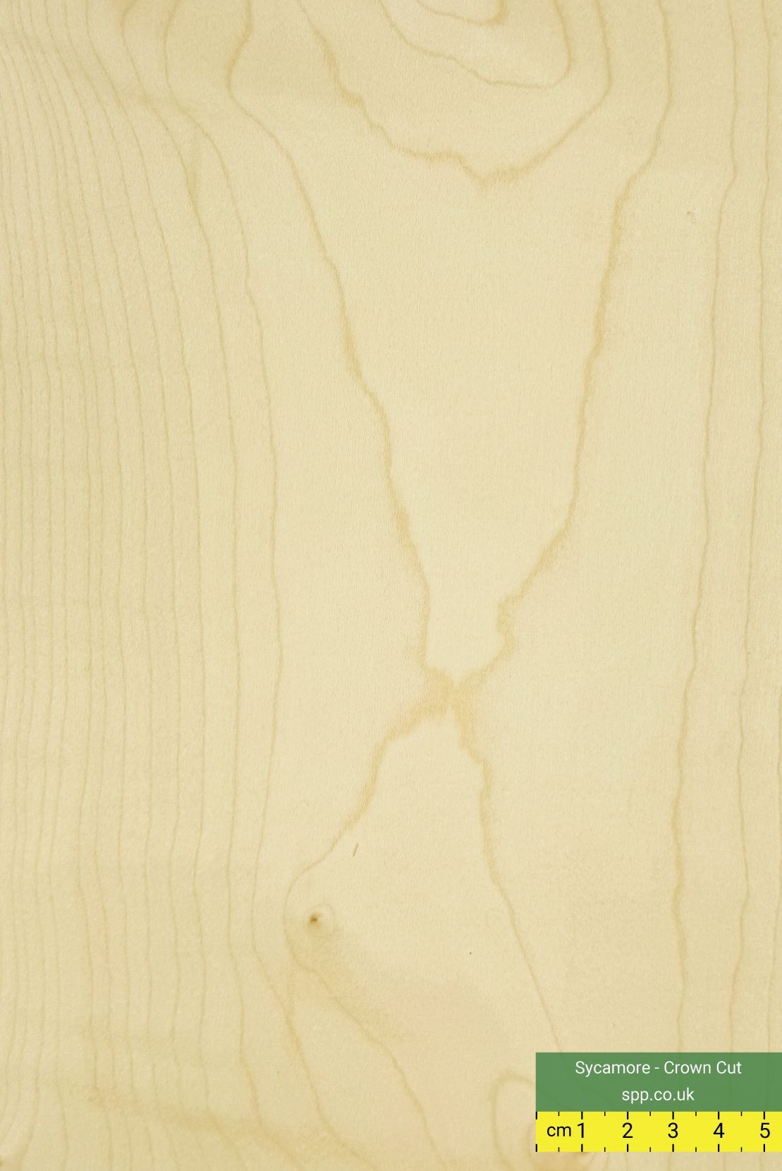Sycamore Veneered Plywood