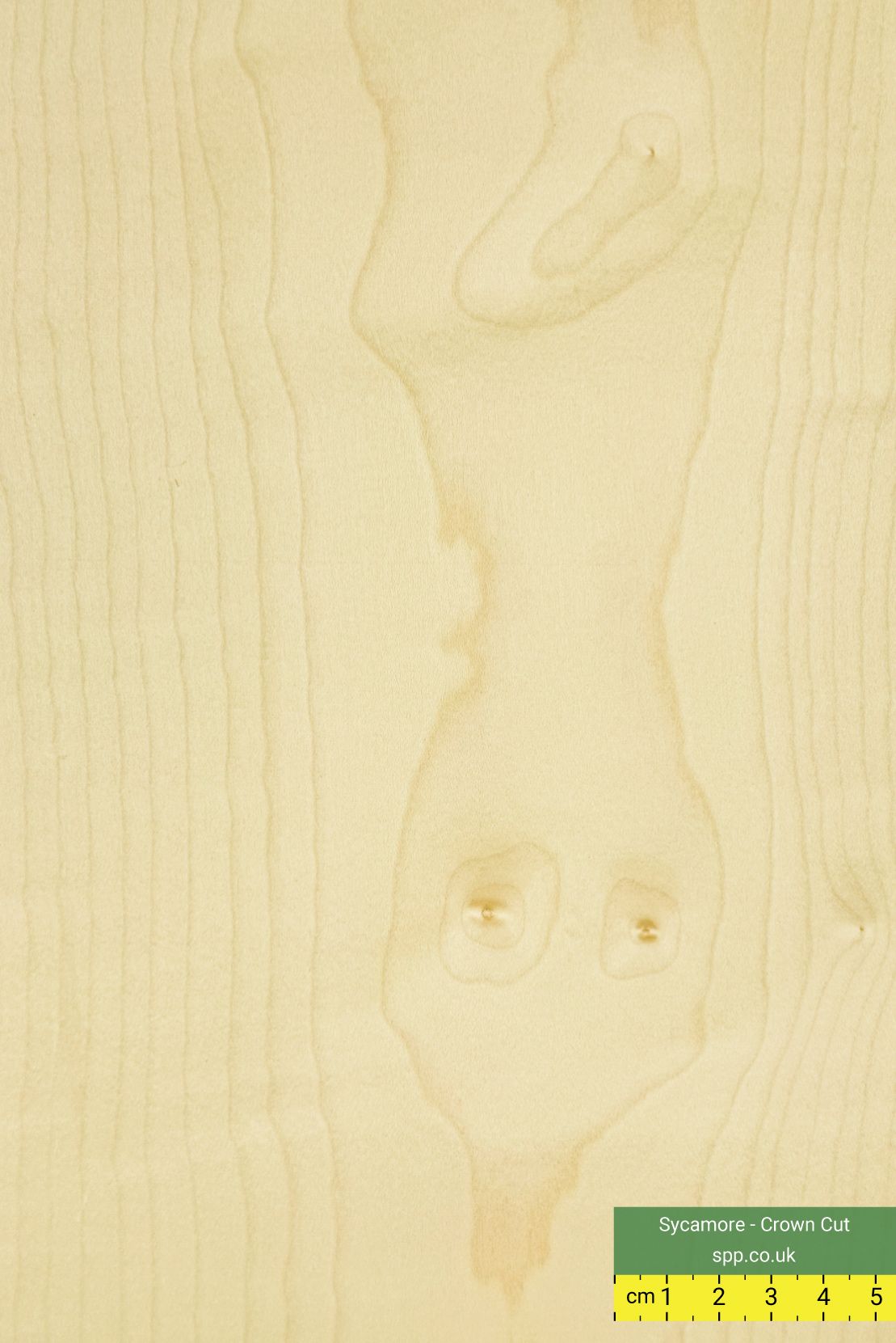 Sycamore Veneered Plywood 18mm