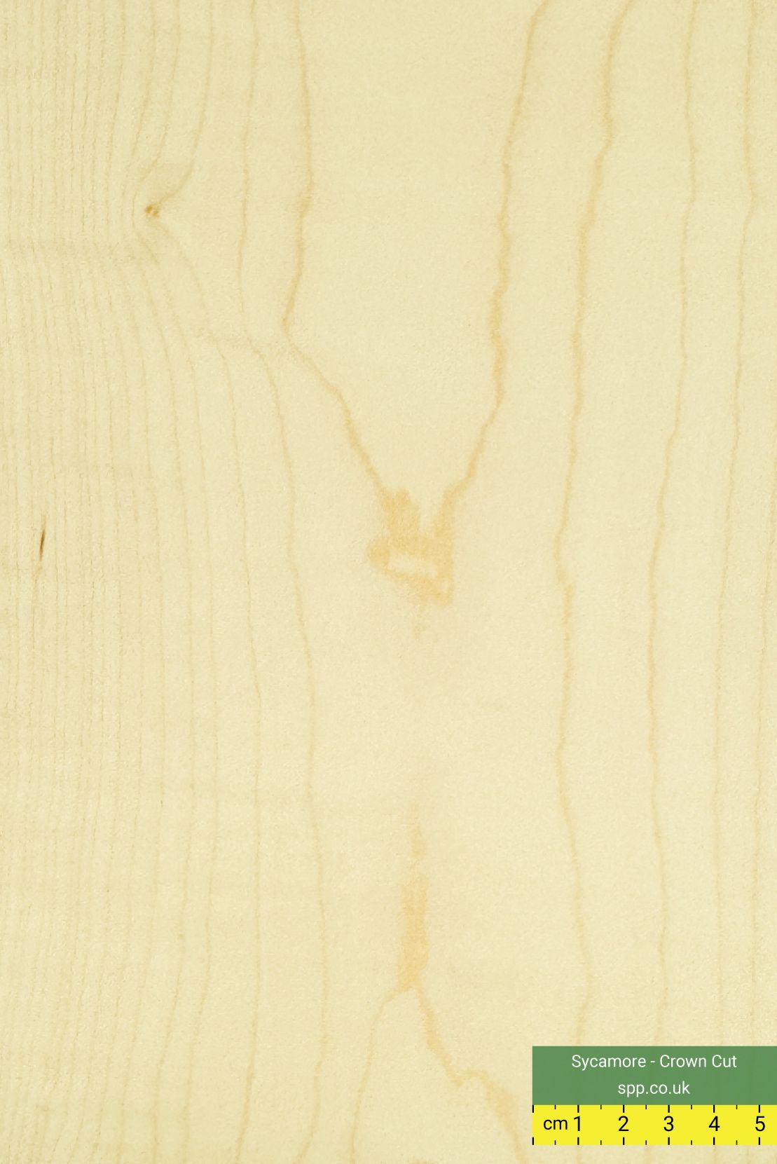 Sycamore Veneered Plywood 8x4