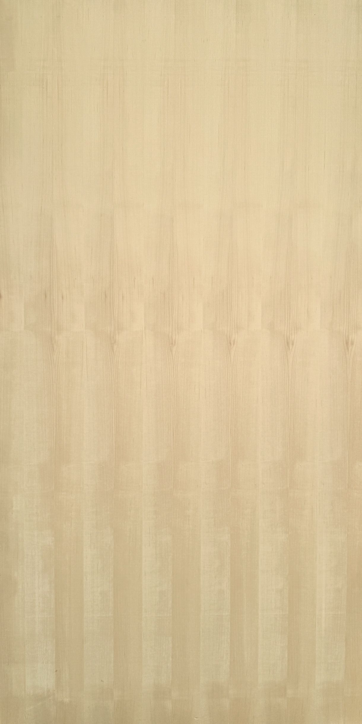 Sycamore Quarter Cut Veneered Plywood