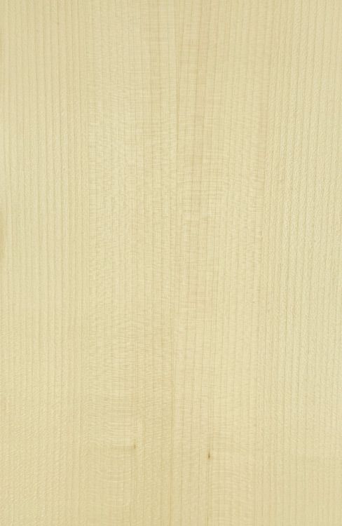 Sycamore Veneered Plywood