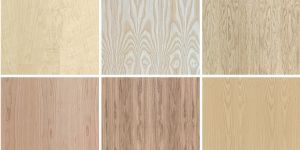 Veneered Plywood