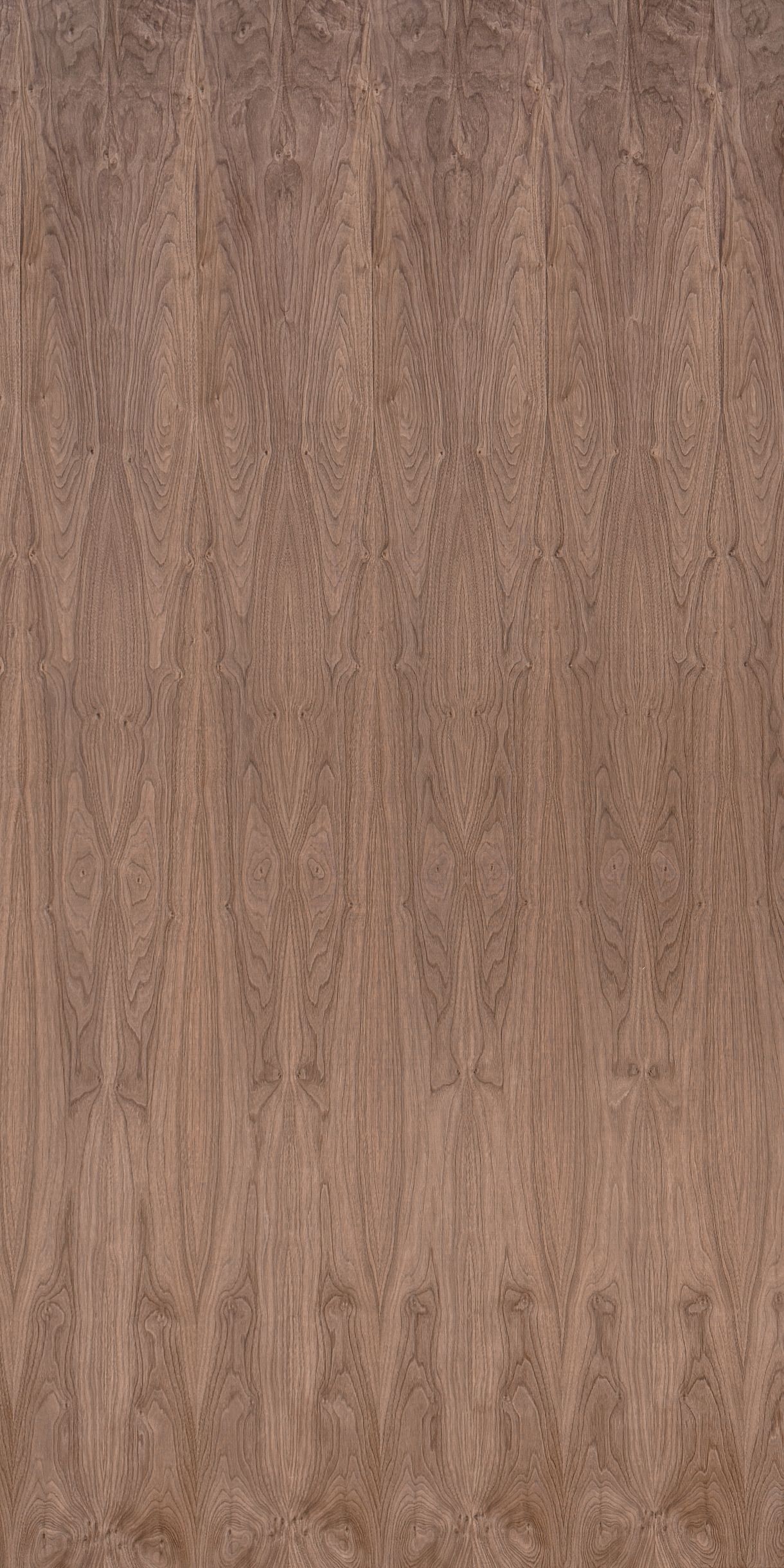 Walnut veneered plywood