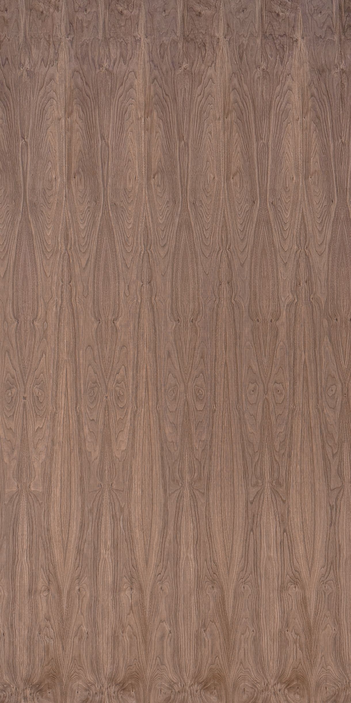 American Walnut Veneered Plywood