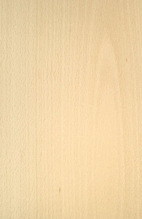 White Beech Veneered Plywood