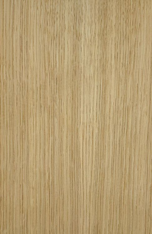 White Oak Veneered Plywood