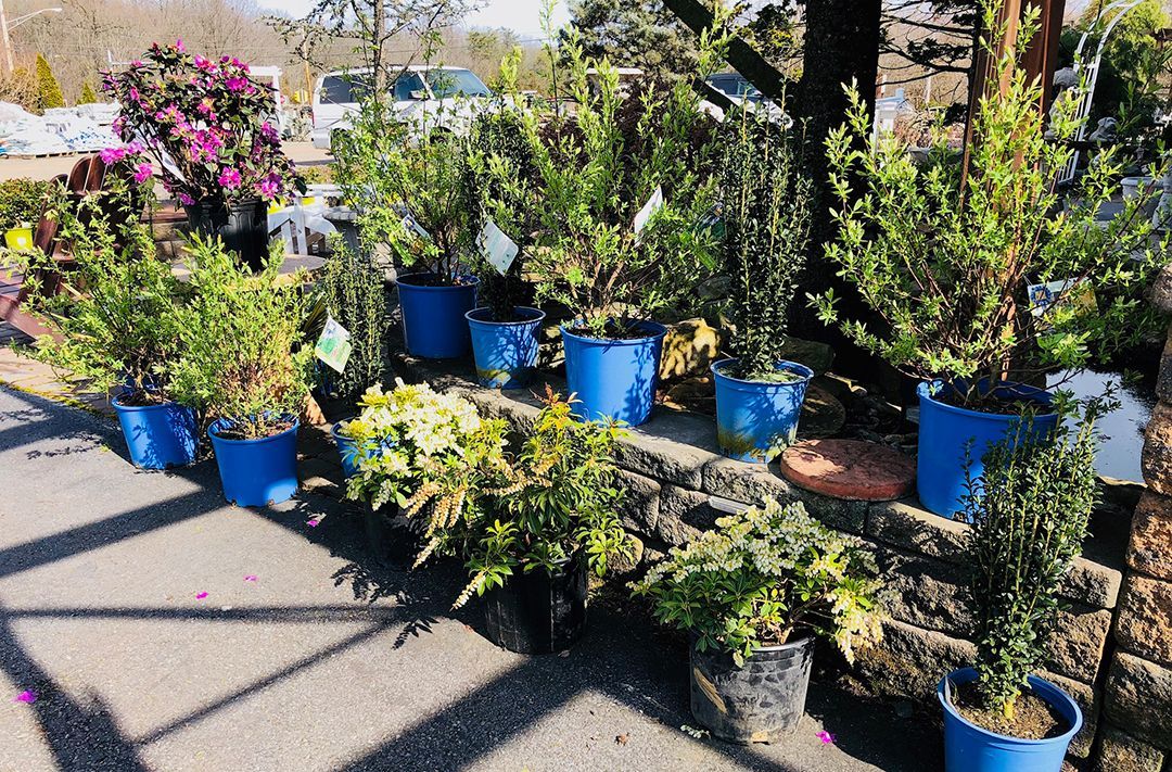 A row of blue potted plants sitting on top of a stone wall.