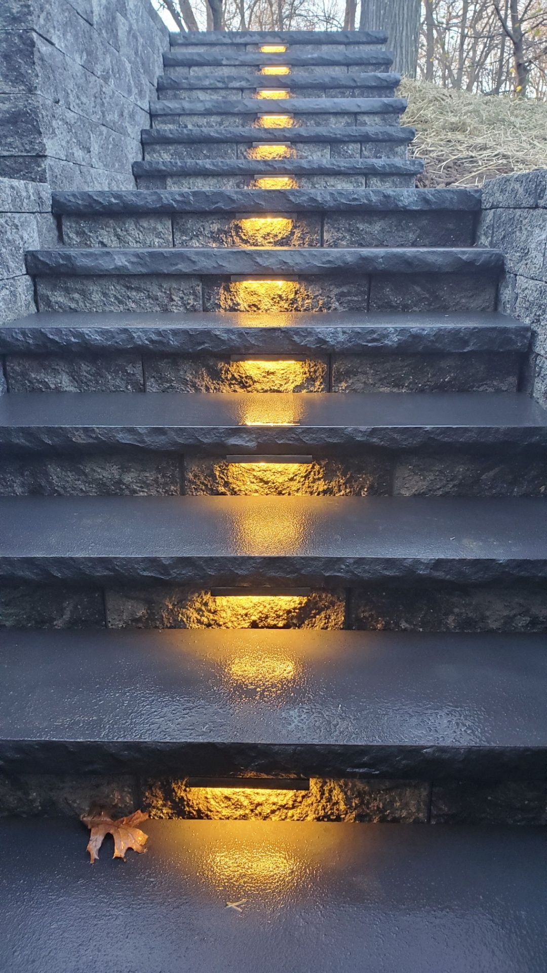 A set of stairs with lights on them and a leaf on the ground.