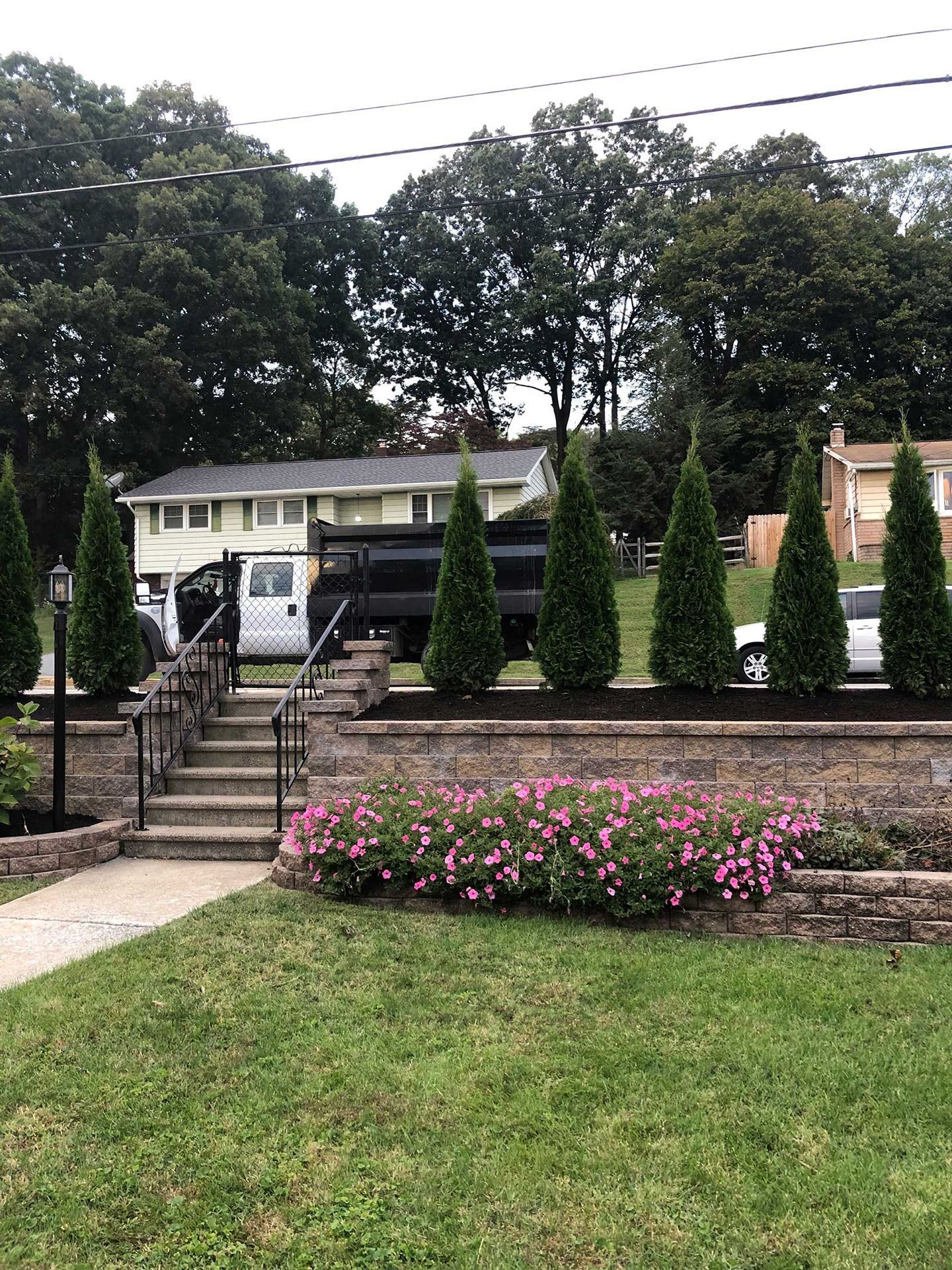 A row of trees are sitting on top of a lush green lawn in front of a house.