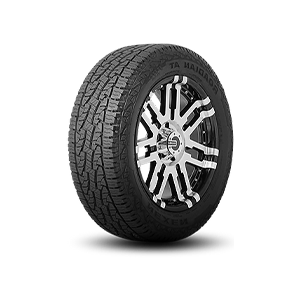 Nexen Rodian AT PRO — Manjimup, WA — Manjimup Tyre Mart & Auto Electrical Services