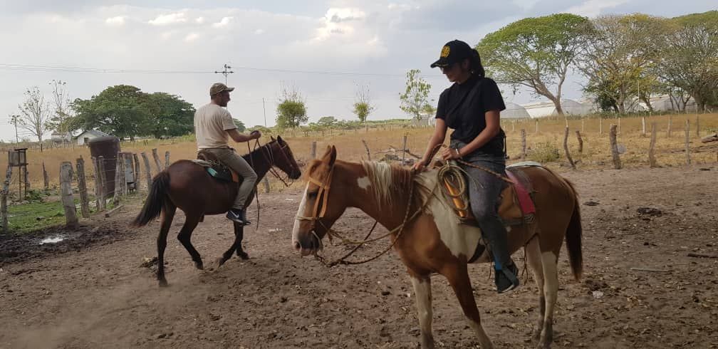 Two people riding horses on a dirt path in a rural setting. The horses are brown and white; the people wear hats.