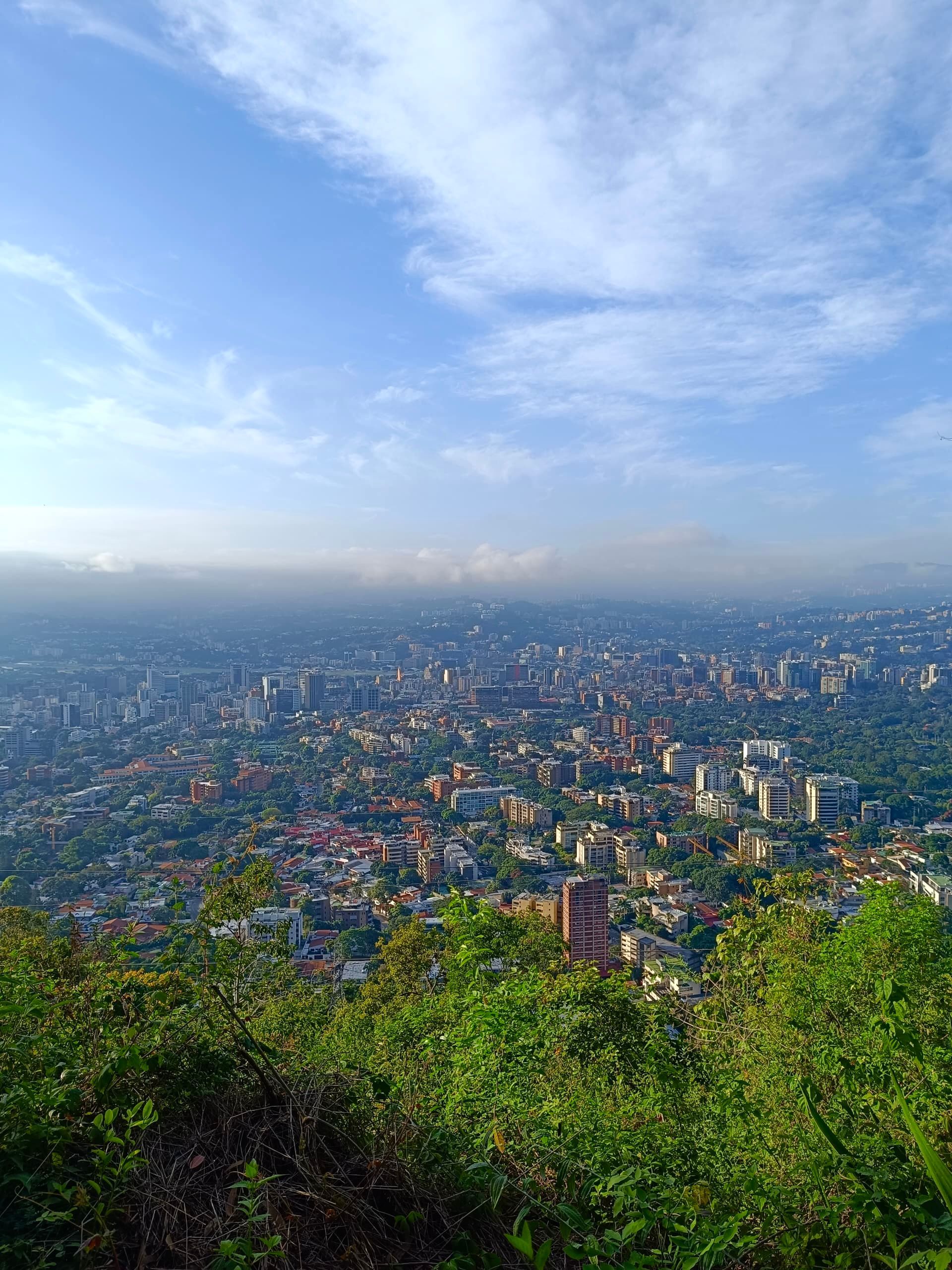 A panoramic view of a sprawling city under a bright blue sky, seen from a hillside with green foliage in the foreground.