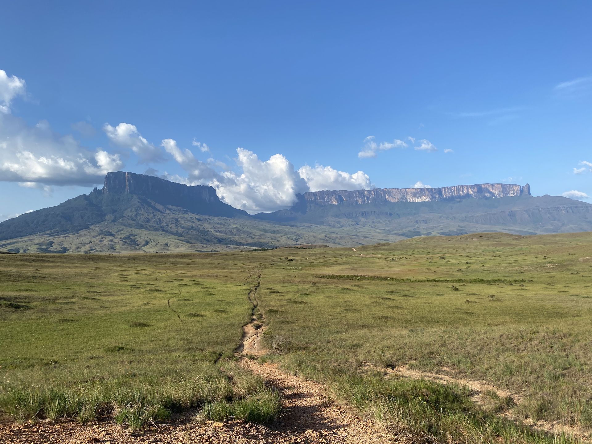 A vast grassy plain leads to a large, flat-topped mountain under a blue sky with clouds.
