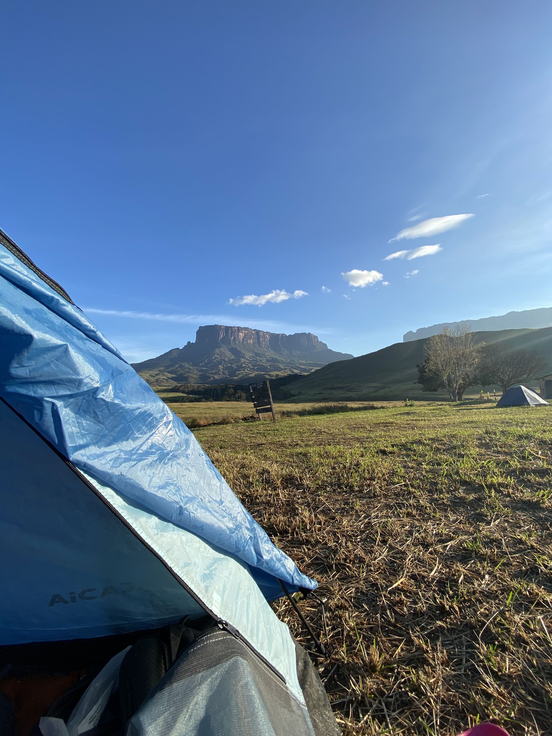 A blue tent in a grassy field with a large mountain in the background under a clear blue sky.