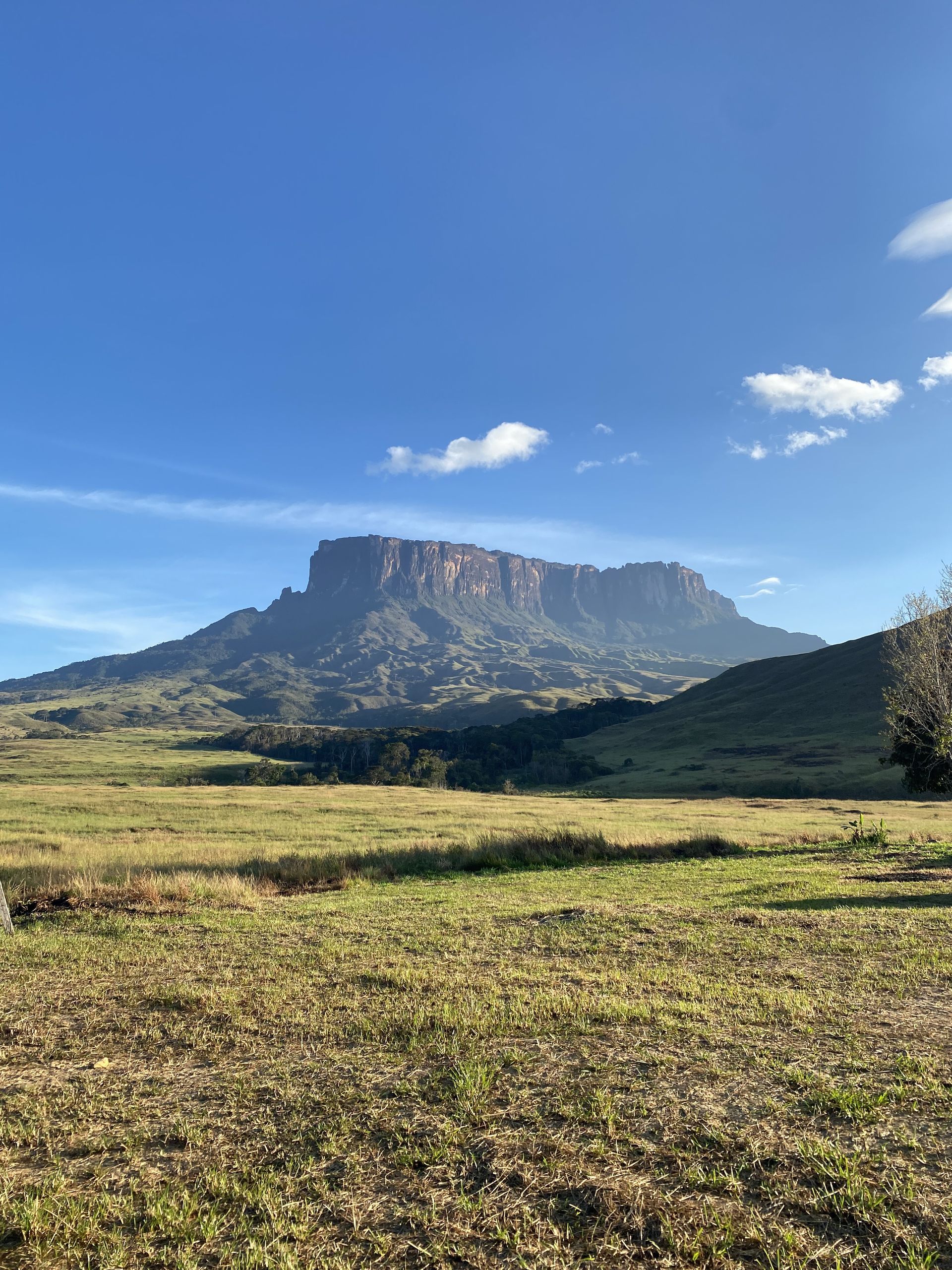 A flat-topped mountain rises above a grassy field under a blue sky. Sunlight bathes the scene in warm tones.