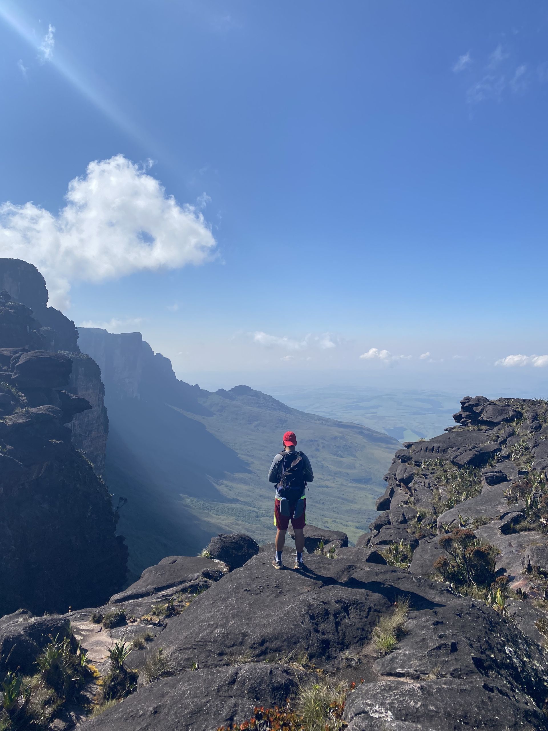 Person stands atop a rocky cliff, gazing out at a green valley and distant mountains under a blue sky.