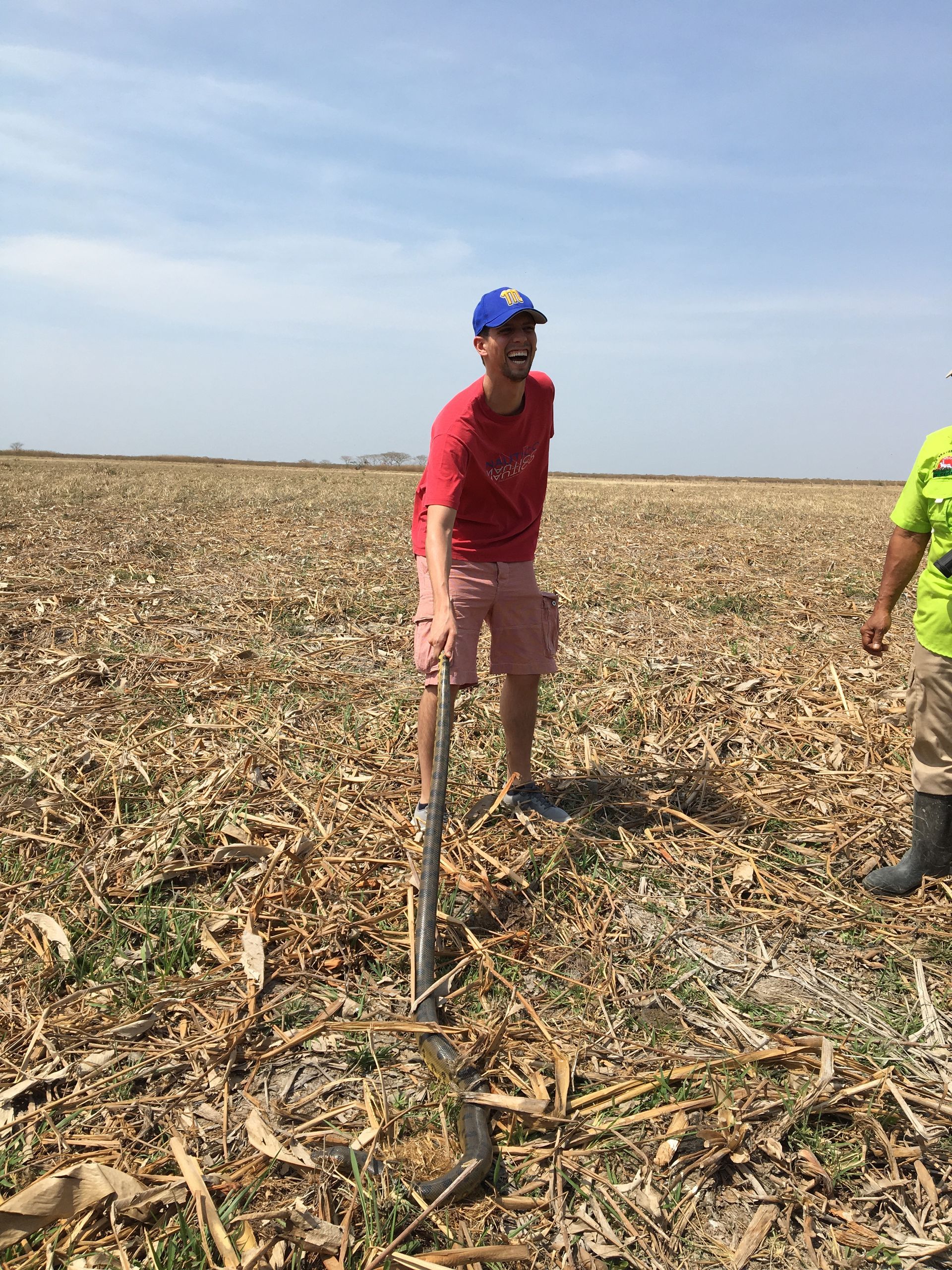 A smiling person in a red shirt and shorts holding a shovel in a harvested cornfield under a blue sky.