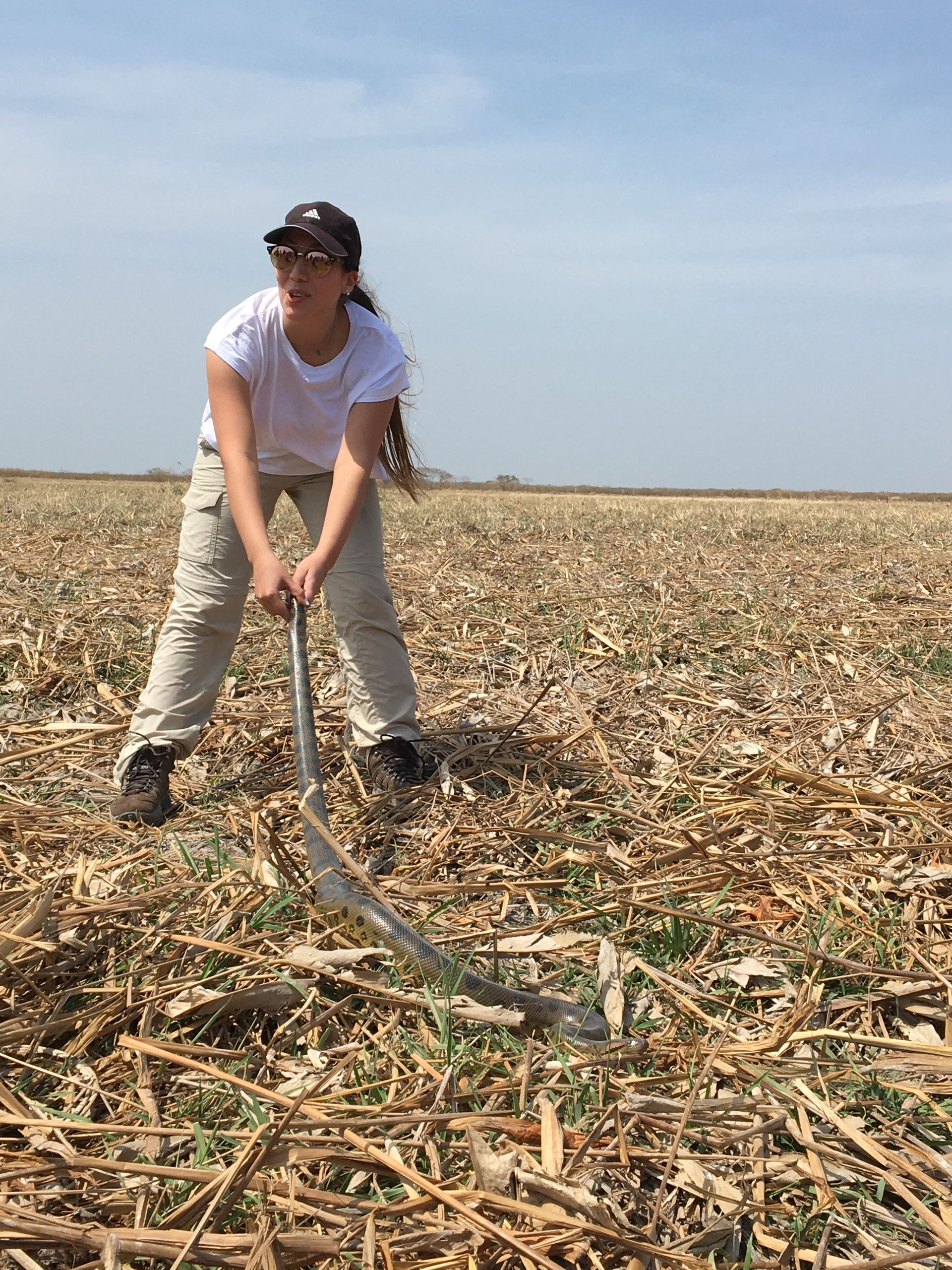 Woman wearing a hat, white t-shirt, and khaki pants uses a tool to survey a harvested field under a blue sky.