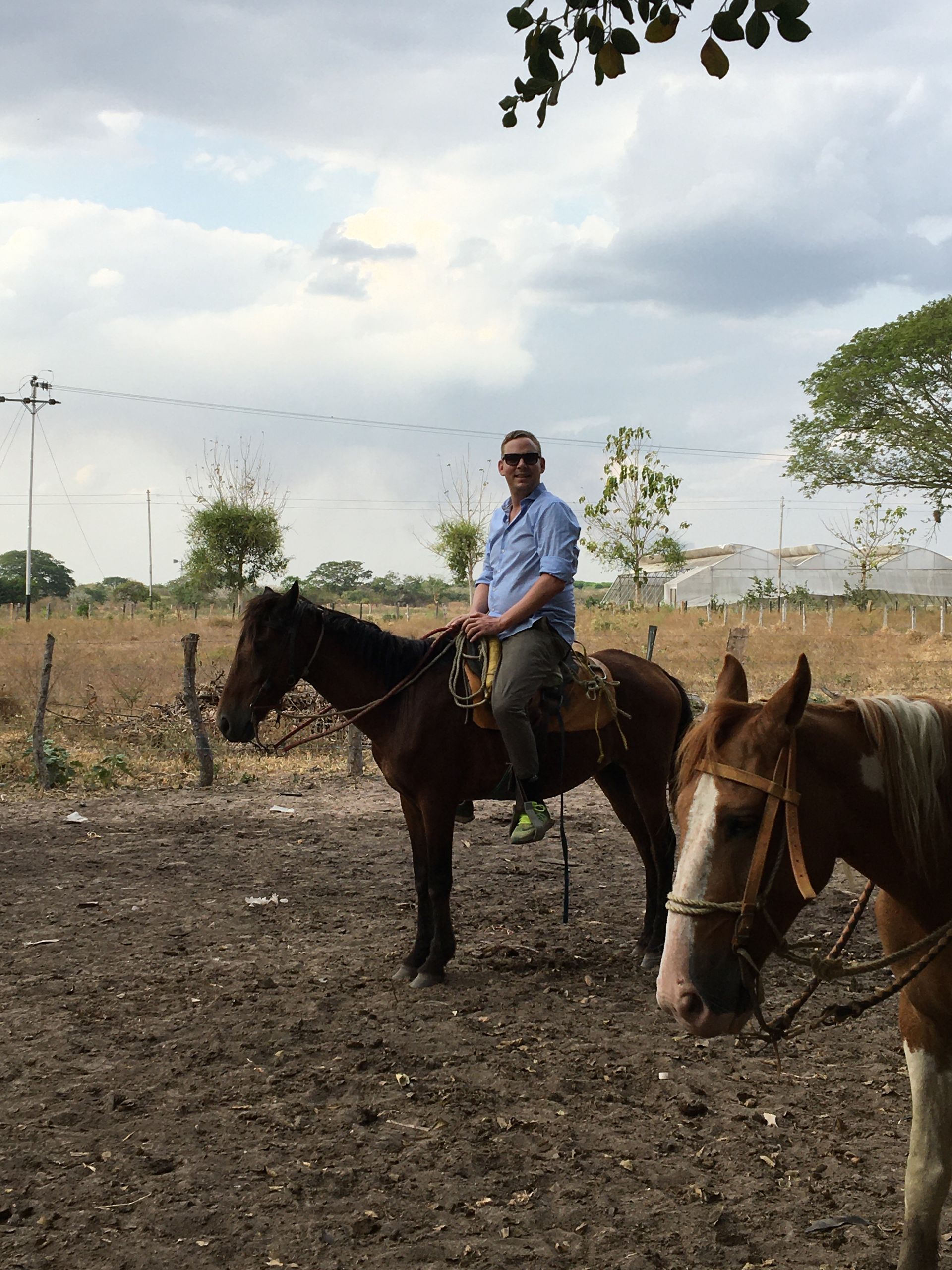 Man riding a brown horse outdoors. Another horse stands beside them. Overcast sky and dry landscape.