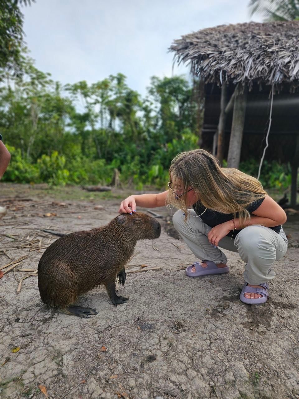 Woman petting a capybara outdoors near a small thatched-roof structure, lush green foliage in the background.