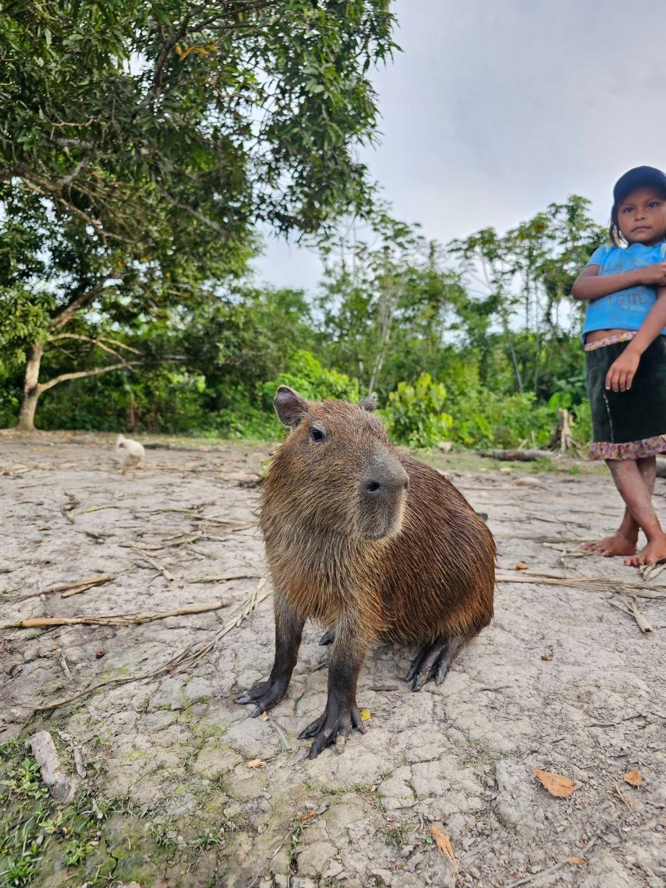 Capybara sits in the foreground, facing the camera. A child stands nearby in a blue shirt and dark skirt, under cloudy skies.
