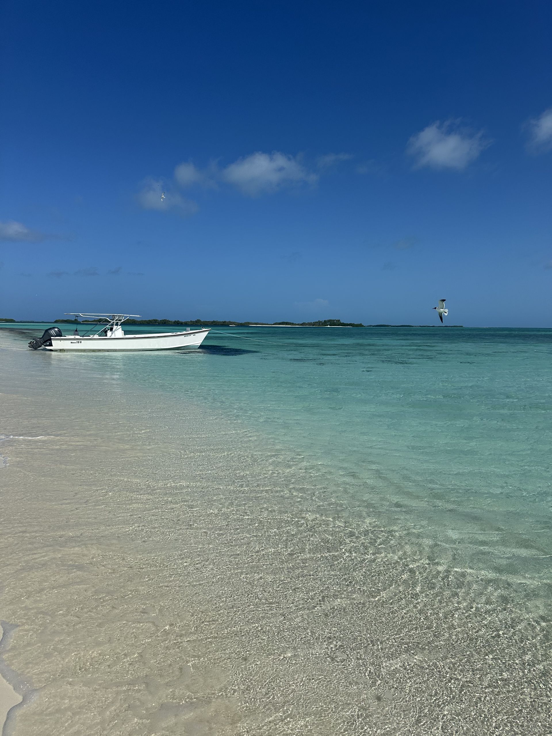 White boat in clear turquoise water near a white sand beach under a bright blue sky. A person kitesurfs in the distance.