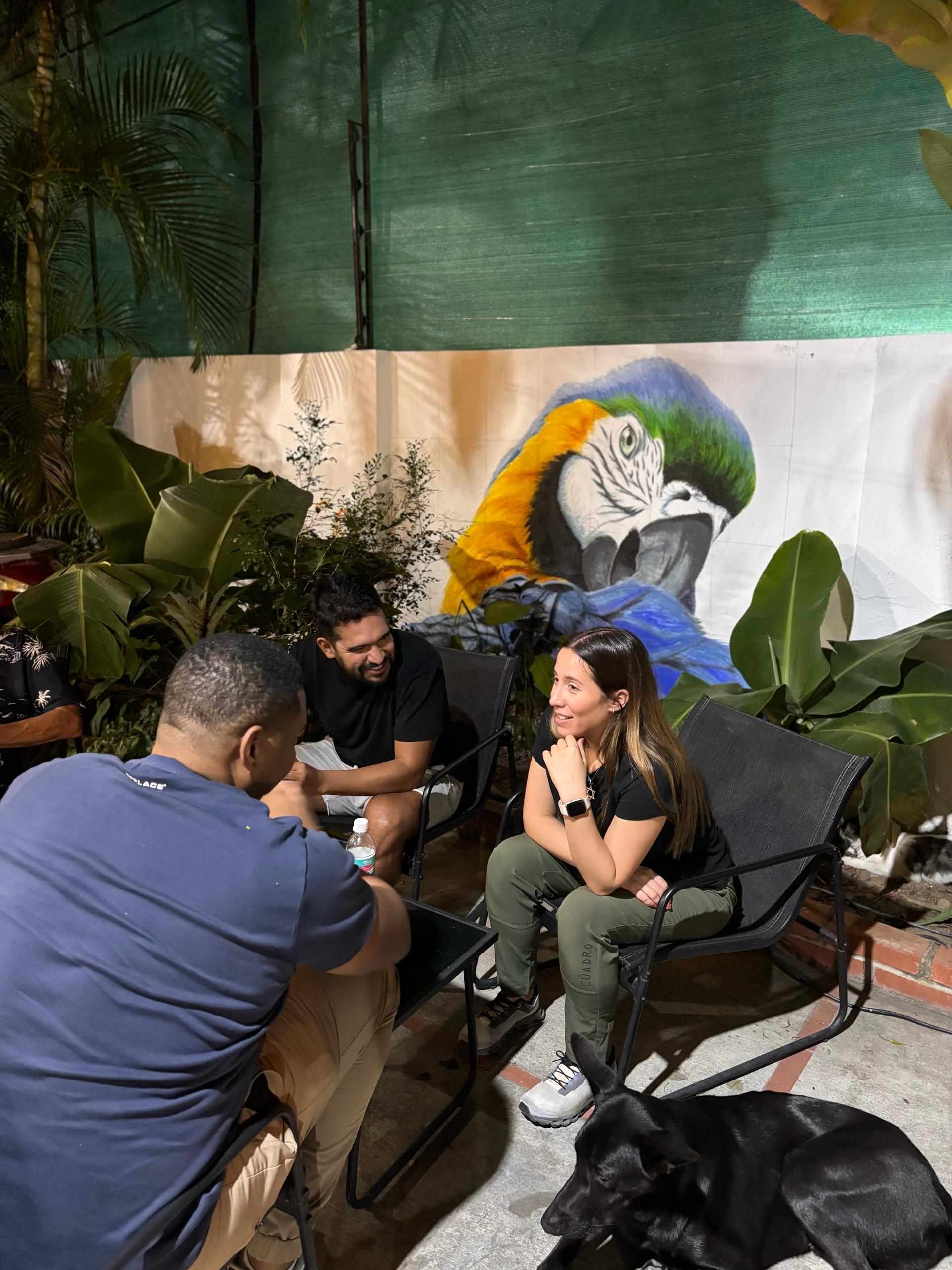 Four people seated outdoors, conversing near a mural of a blue and yellow macaw. A black dog rests in the foreground.