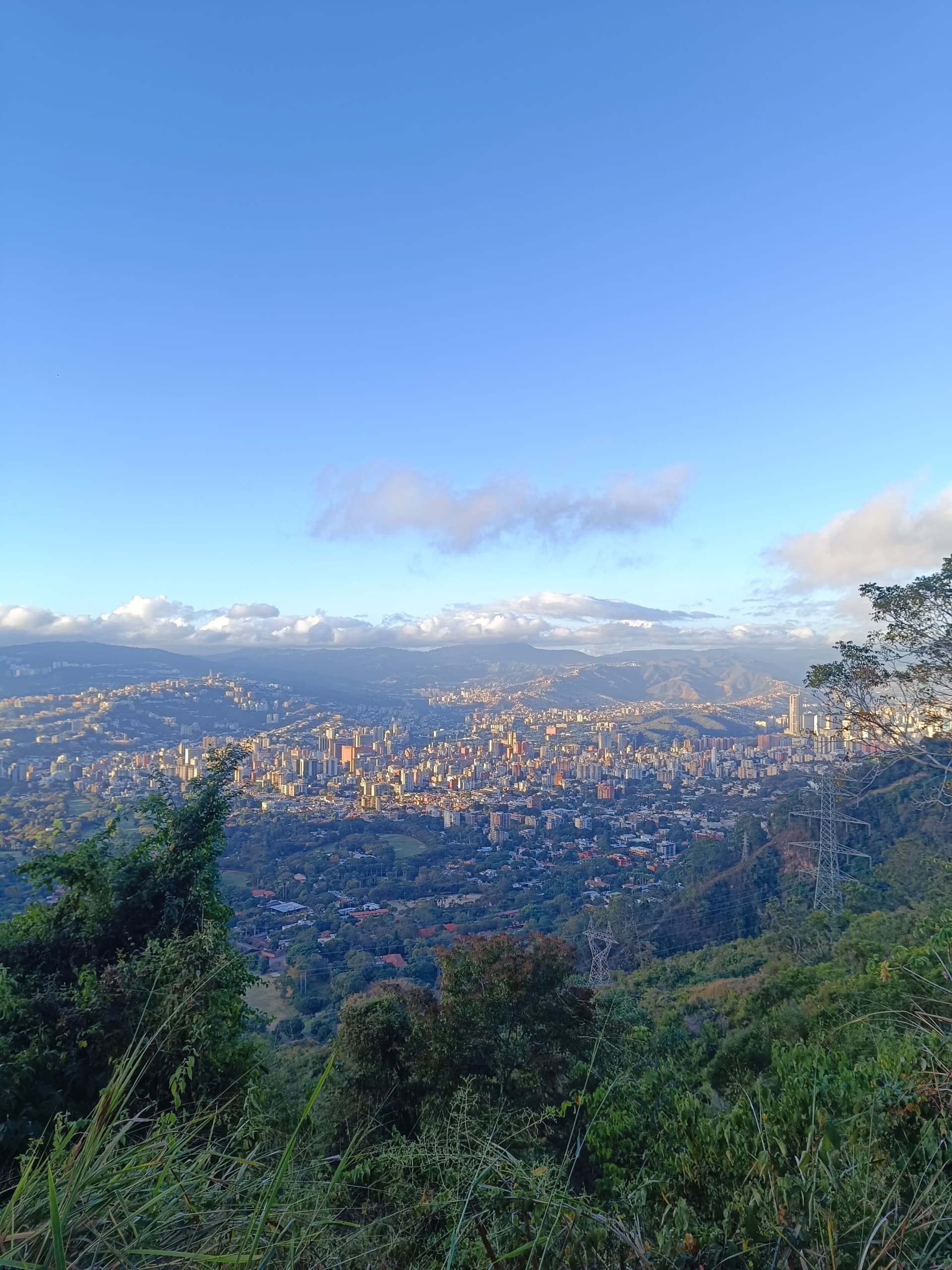 Cityscape viewed from a high vantage point, under a bright blue sky. Lush green vegetation in the foreground.