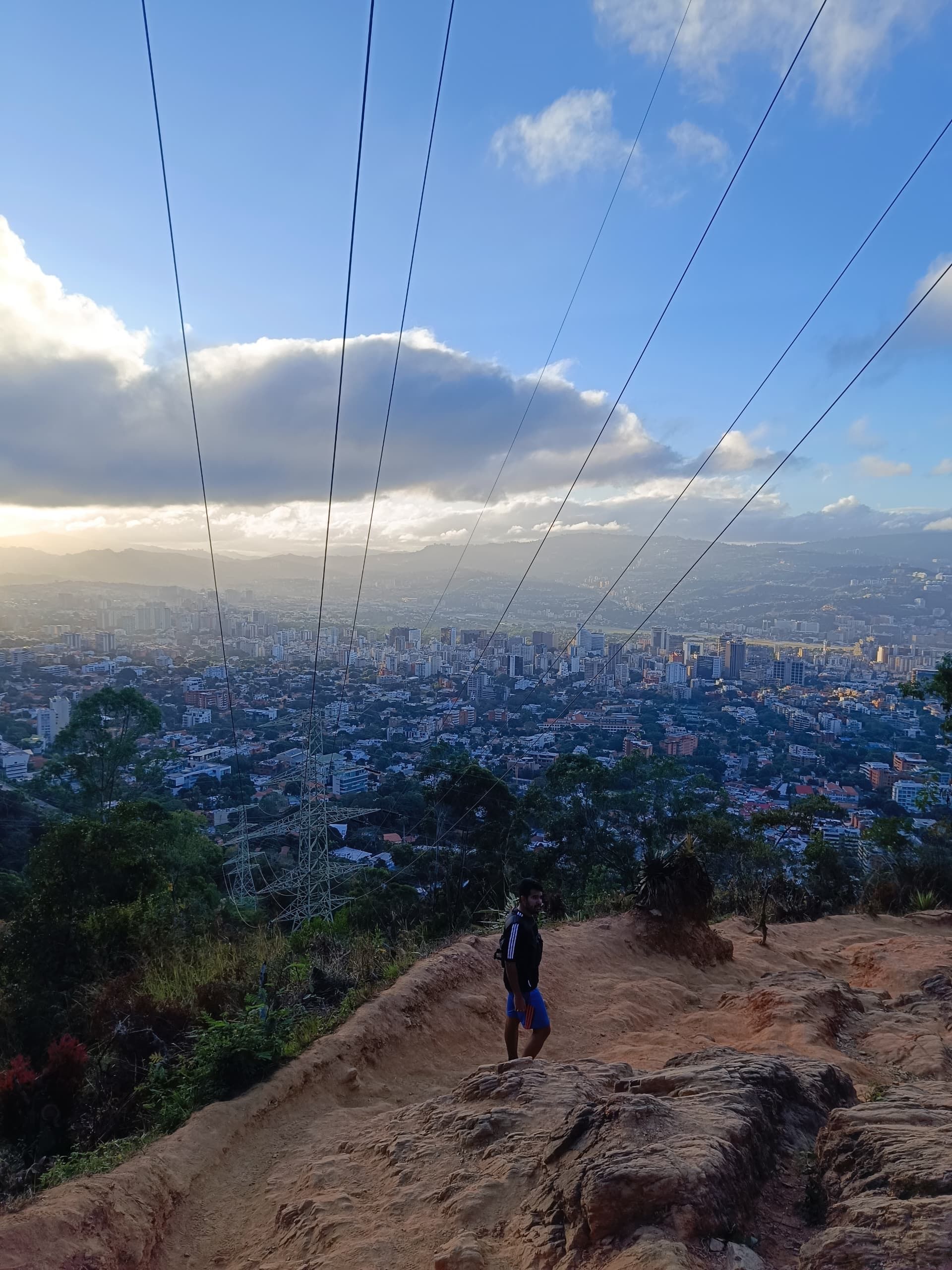 Person standing on a hillside overlooking a city under a blue sky dotted with descending bird flocks.