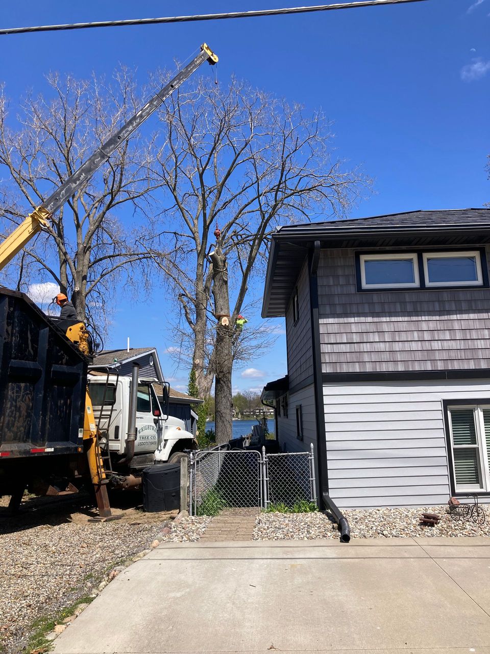 A crane is cutting a tree in front of a house.